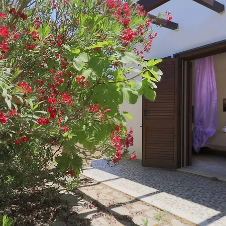 Uva Regina By Casa Di Marco Villa Gallipoli